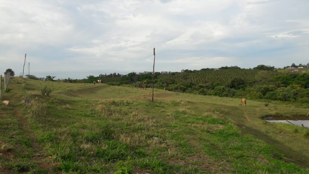 CHÁCARA PANTANAL